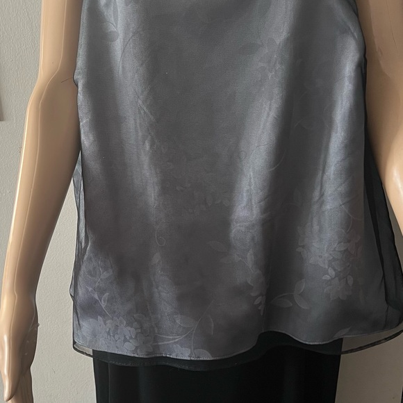 Preowned Patra woman plus size gown (24) - Picture 1 of 6